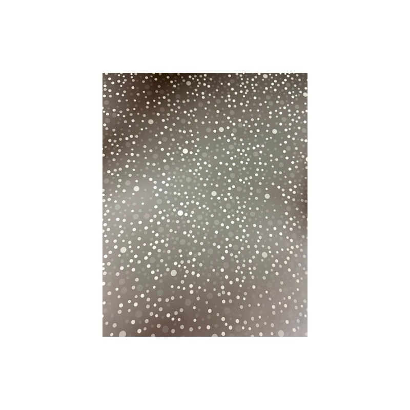 CARTULINA BOUTIQUE PLATA PUNTOS ECG 44X61 220 GRS